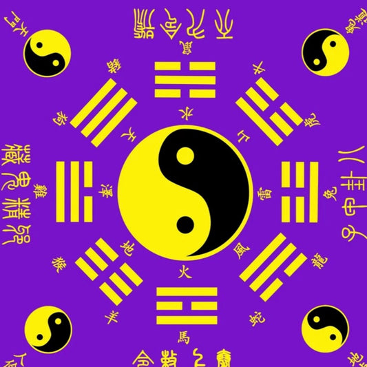Home Feng Shui Guidance